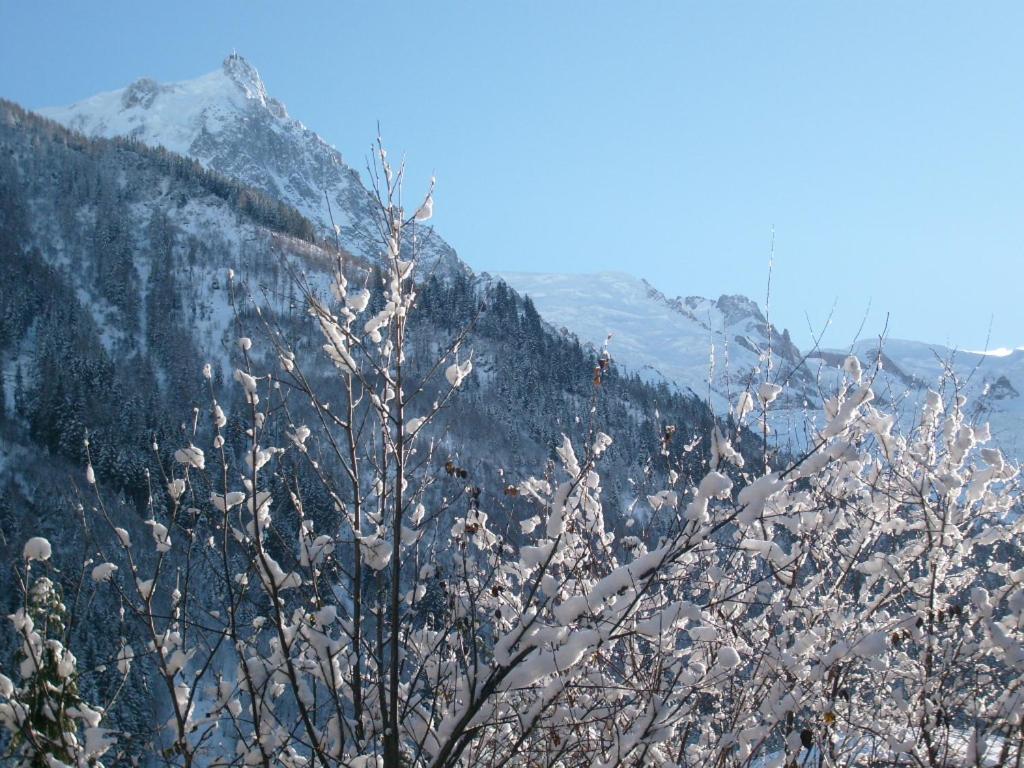 Appartement T2 CHAMONIX CENTRE Balcon Vue MONT BLANC Esterno foto